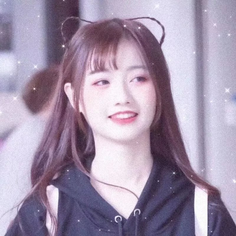 狮子彻夜未眠